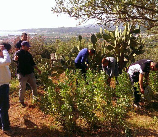 Concluso il progetto Giovani in campagna