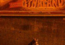 Rosarno: “Evitiamo un’altra tragedia”