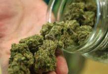 Due arresti per spaccio e detenzione di stupefacenti