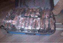 Operazione antidroga Italia-Usa- Colombia