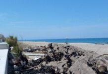 Cittadinanza Democratica: Cittadini preoccupati per lo scempio sulla spiaggia di Gioia Tauro