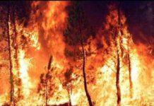 Protezione civile: segnalare qualsiasi incendio