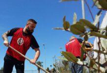 Lamezia, CasaPound riqualifica area verde in Piazza 5 Dicembre