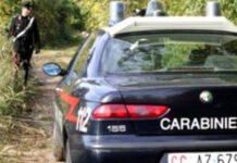 Orrore in Calabria quattro ragazzi uccidono cane e postano video su social