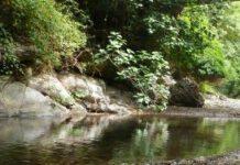 Cadavere trovato in un fiume