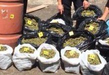 Armi e droga rinvenute nel reggino