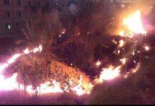 Rosarno, incendio costone in Via Sottotenente Gangemi, possibile natura dolosa