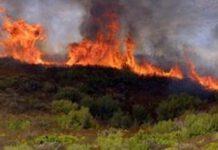 Incendiato terreno agricolo cop. sociale