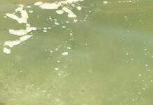 Mare calabria, ARPACAL: un terzo dei depuratori non è a norma