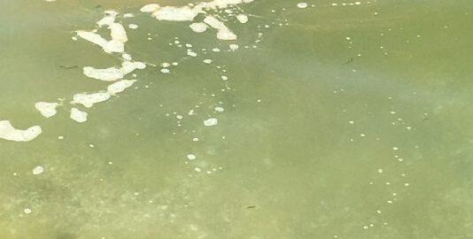 Mare calabria, ARPACAL: un terzo dei depuratori non è a norma