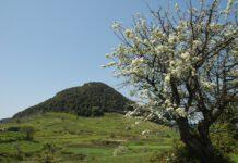 Turismo Scolastico, crescono presenze nel Parco dell’Aspromonte