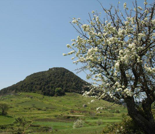 Turismo Scolastico, crescono presenze nel Parco dell’Aspromonte
