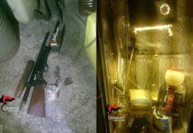 Cittanova, scoperta piantagione di canapa. Arrestato giovane di Cinquefrondi