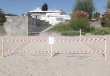 Tartarughe depongono uova su spiaggia calabrese. Recintata area