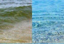 Emergenza mare- Inviaci le tue segnalazioni/foto sulle condizioni delle acque