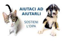 Cane torturato e ucciso, Oipa: ci costituiremo parte civile