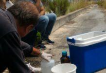 San Ferdinando, Il Presidio continua in attesa dell’aggiornamento del tavolo tecnico previsto per domani