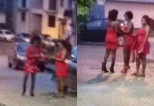 I lettori disperati: alcune abitazioni di Rosarno si trasformano in night club