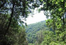 Campi di Volontariato nel Parco dell’Aspromonte