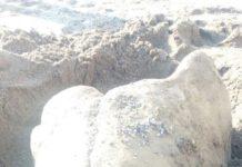 Reperti archeologici trovati su spiaggia