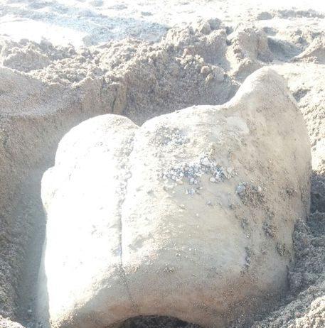 Reperti archeologici trovati su spiaggia
