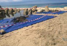 San Ferdinando, martedì convegno su Inquinamento, salute e attivismo ambientale