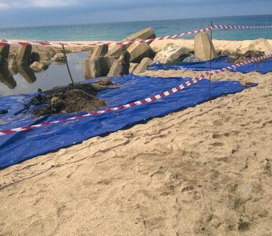 San Ferdinando, martedì convegno su Inquinamento, salute e attivismo ambientale