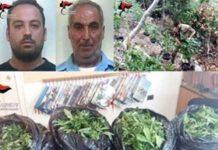 Padre e figlio arrestati per produzione di stupefacente e detenzione arma clandestina