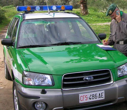 Caccia illegale, denunciate tre persone
