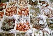 Vendita irregolare di prodotti ittici, sanzioni a Gioia Tauro Palmi e Taurianova