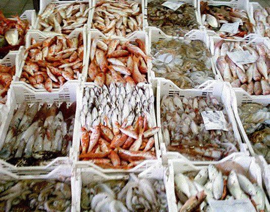 Vendita irregolare di prodotti ittici, sanzioni a Gioia Tauro Palmi e Taurianova