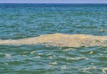 Calabria mare, depuratore guasto- scarichi in acqua