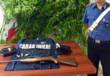 Droga tra viti e ulivi- arrestato 37enne