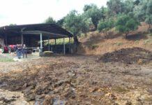 Abbandono rifiuti, sequestrata azienda