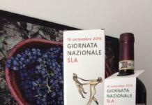 Domenica 18 settembre mobilitazione contro Sla