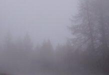 Nebbia e temporali mentre cercano funghi. Soccorsi due uomini dispersi