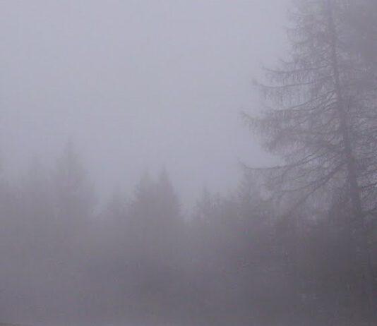 Nebbia e temporali mentre cercano funghi. Soccorsi due uomini dispersi