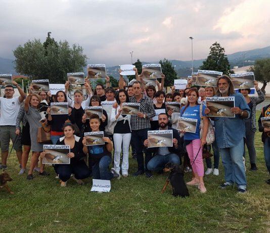 #MaiPiùComeVicky, Ottima presenza al flash mob animalista