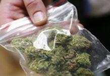 Droga nascosta nel cortile di casa, due arresti