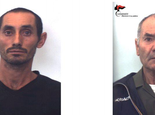 Scoperta piantagione di canapa nel reggino, due arresti