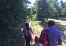 Parco Aspromonte, la Biodiversità “attira” e conquista consensi