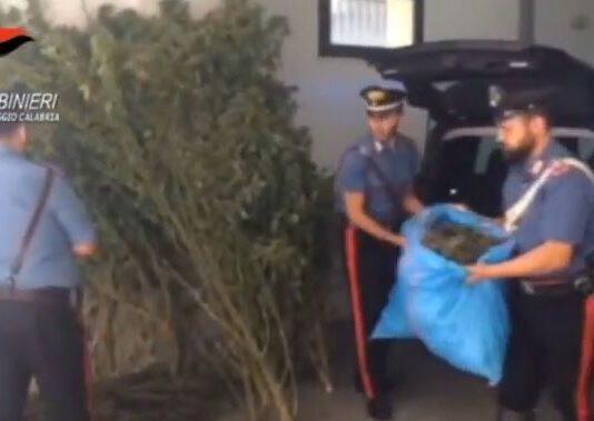 Operazione antidroga a Bagnara, il video