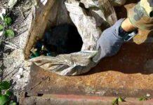 Armi rinvenute all’interno di una botola nel reggino VIDEO