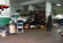 Arsenale in un’officina, il video del ritrovamento di armi e tritolo