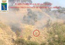 Sorpreso ad appiccare incendio, arrestato