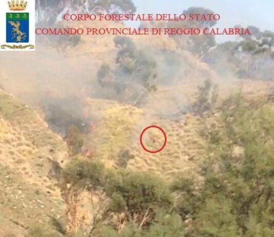 Sorpreso ad appiccare incendio, arrestato
