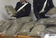 Trovati 30 kg di marijuana in un casolare