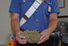 In casa con 700g di marijuana, un arresto