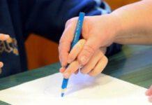 Caso bimba disabile esclusa da gita a Taurianova, la lettera di una mamma: “Assolutamente falso che i bimbi disabili sono stati esclusi da gita”