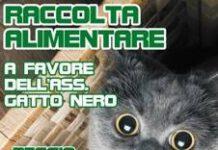 Reggio Calabria, fine settimana solidale per La Foresta che Avanza